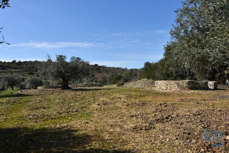 Terreno para Venda em Chãos Foto 12
