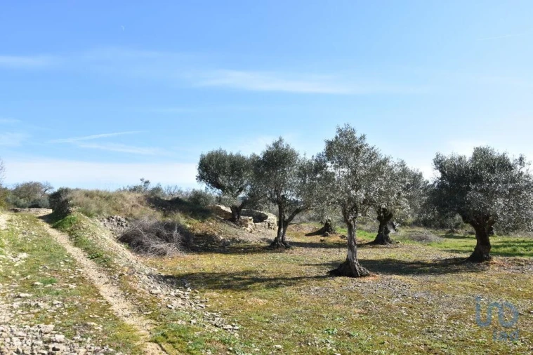 Terreno para Venda em Chãos Foto 5