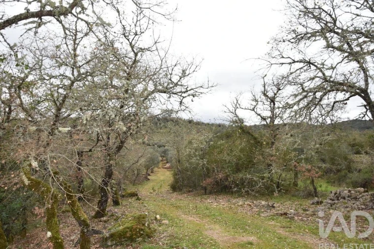 Terreno para Venda em Chãos Foto 30