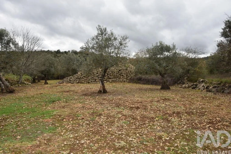 Terreno para Venda em Chãos Foto 22