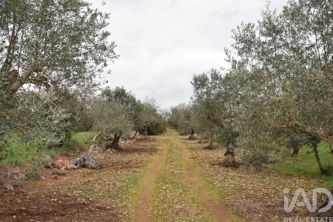 Terreno para Venda em Chãos Foto 26