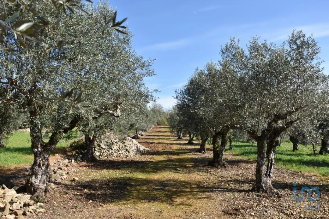 Terreno para Venda em Chãos Foto 11