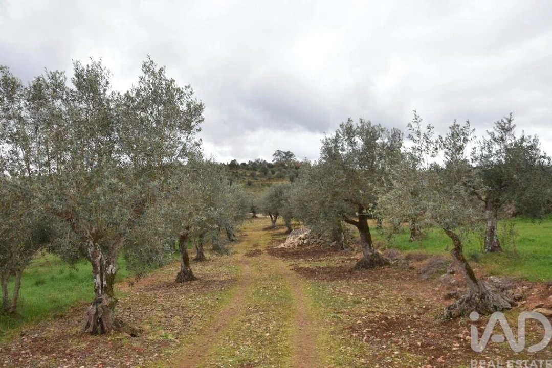 Terreno para Venda em Chãos Foto 27