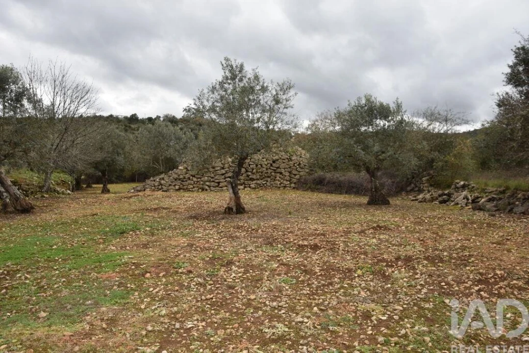 Terreno para Venda em Chãos Foto 22