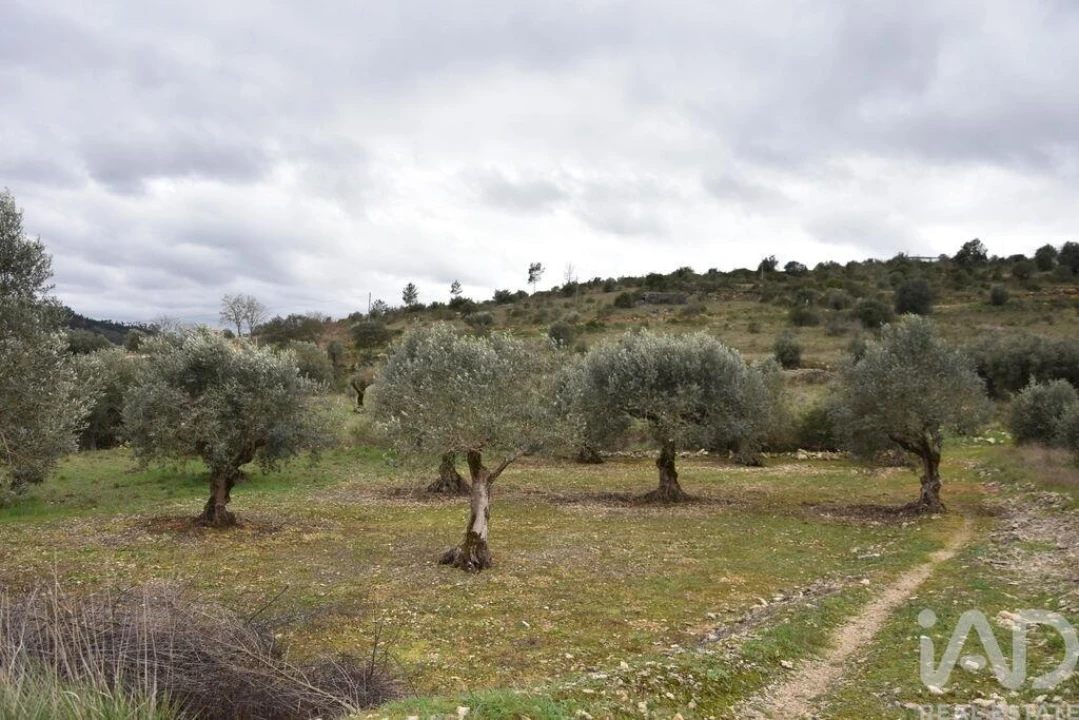 Terreno para Venda em Chãos Foto 18