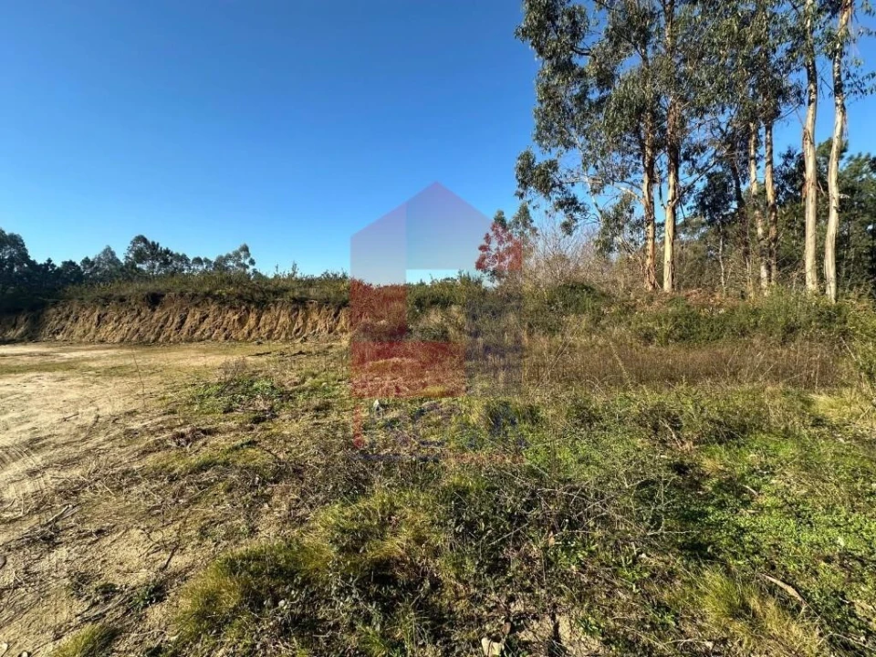 Terreno para Venda em Lago Foto 4