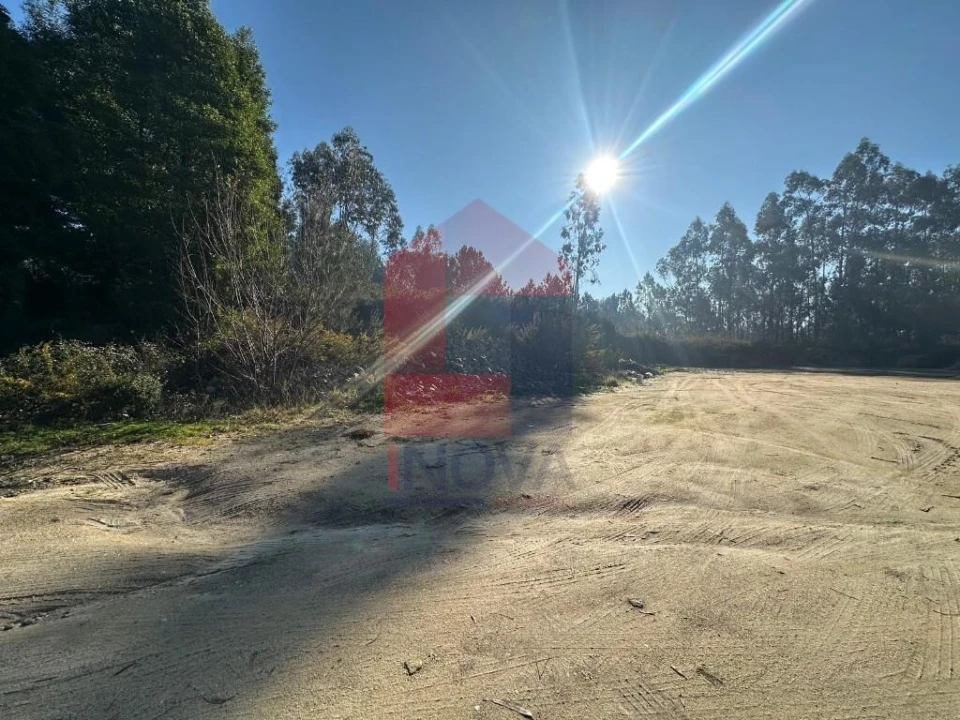 Terreno para Venda em Lago Foto 6