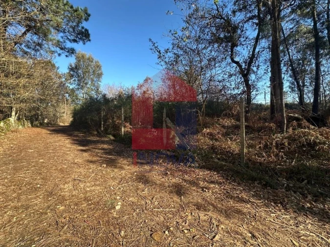 Terreno para Venda em Lago Foto 12
