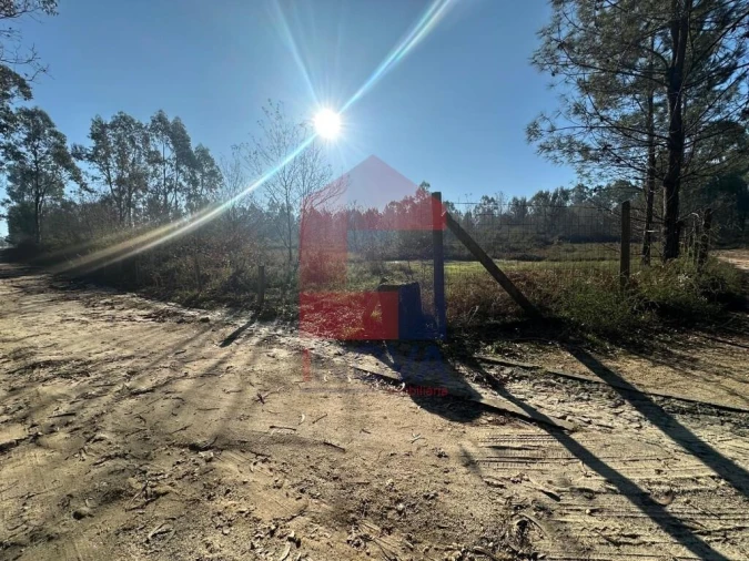 Terreno para Venda em Lago Foto 11