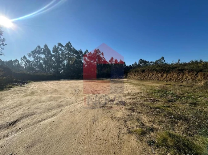 Terreno para Venda em Lago Foto 7