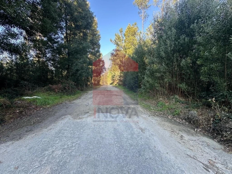 Terreno para Venda em Lago Foto 15