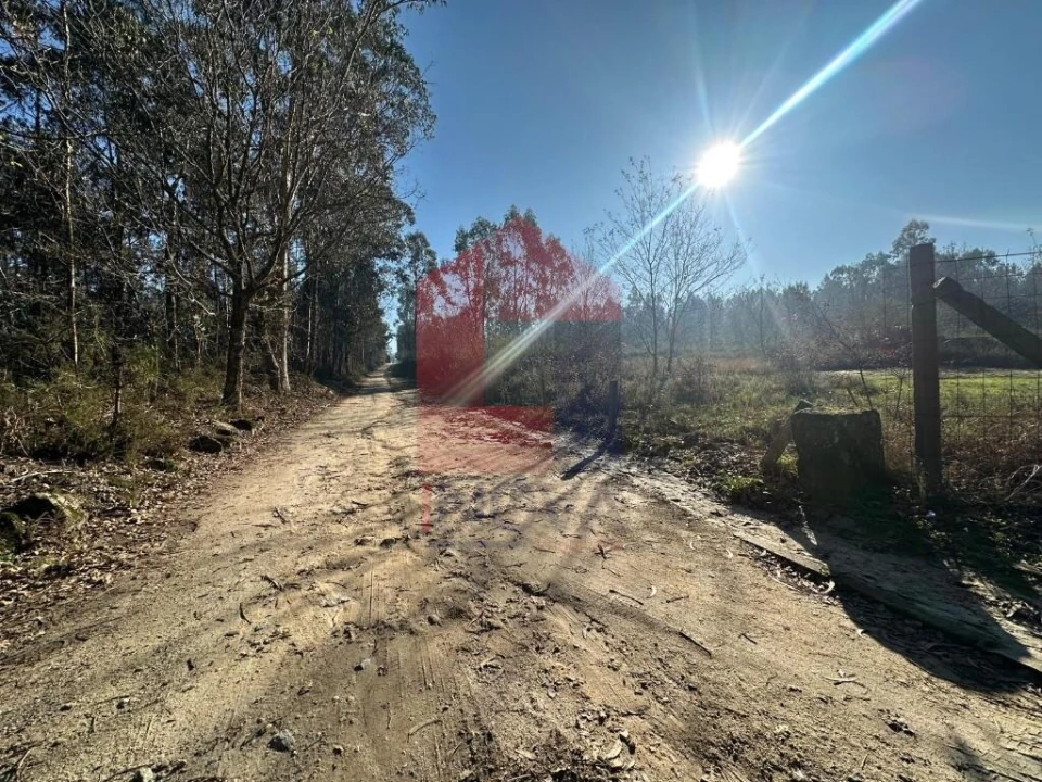 Terreno para Venda em Lago Foto 10