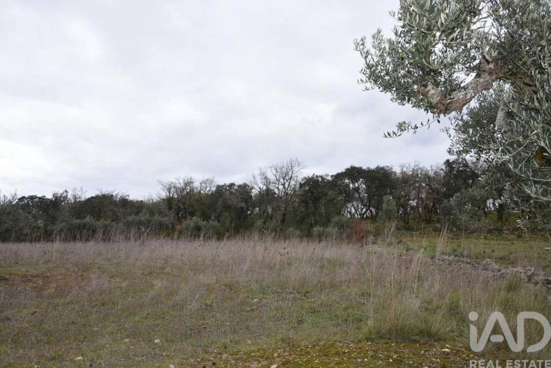 Terreno para Venda em Chãos Foto 19