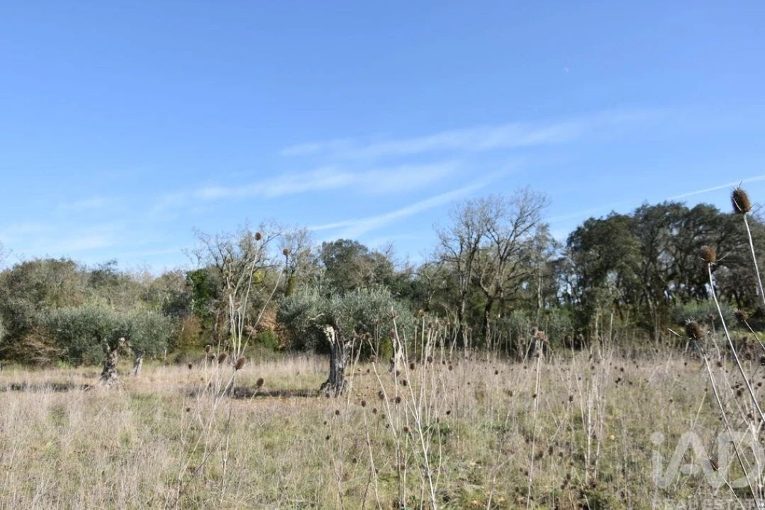Terreno para Venda em Chãos Foto 26