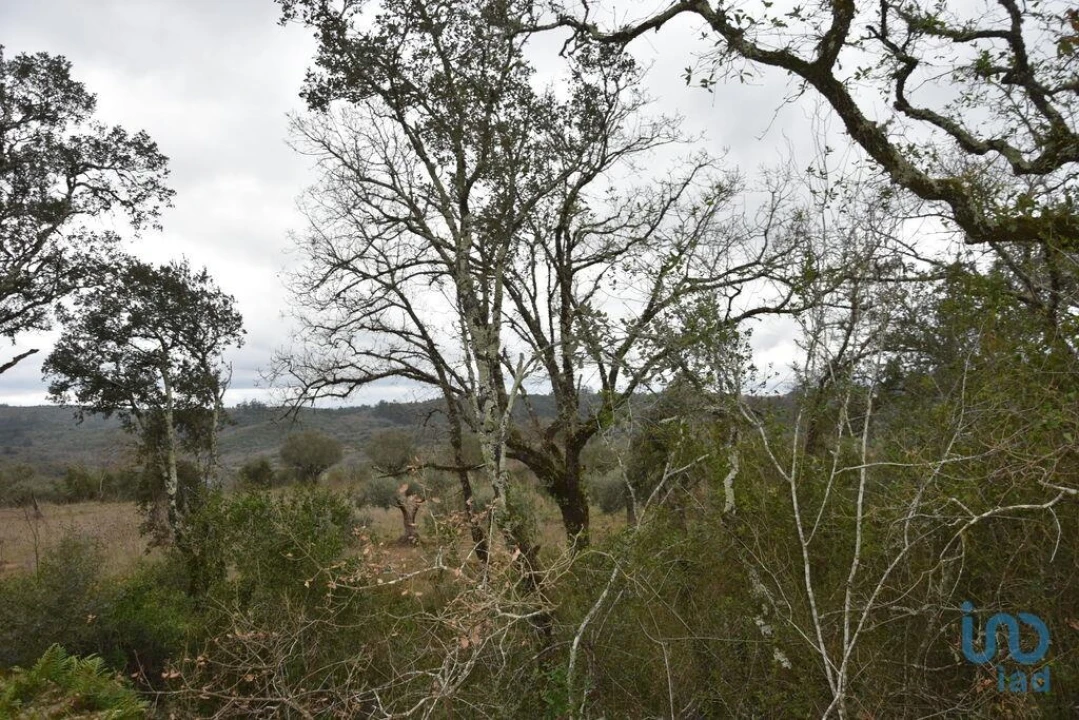 Terreno para Venda em Chãos Foto 13