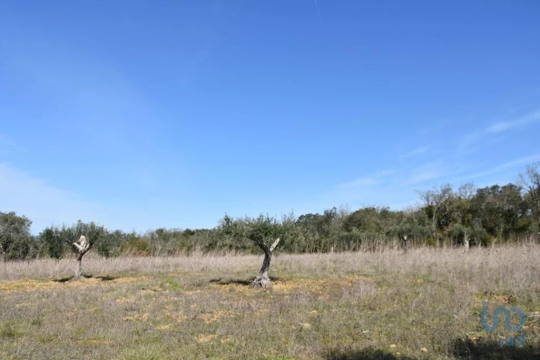 Terreno para Venda em Chãos Foto 4