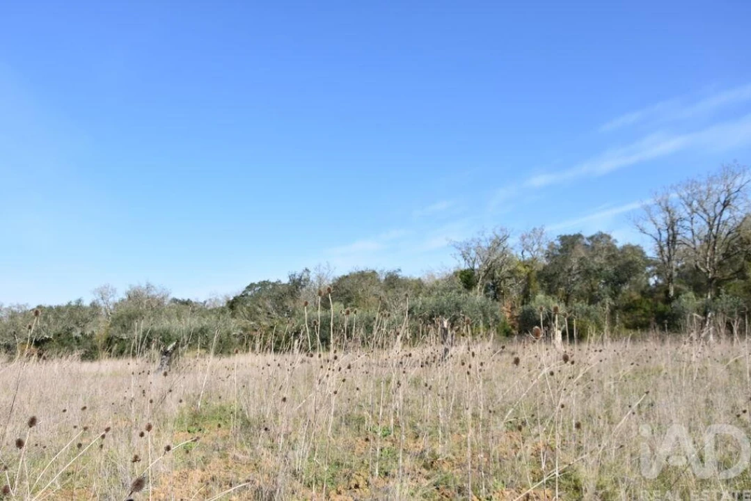 Terreno para Venda em Chãos Foto 24