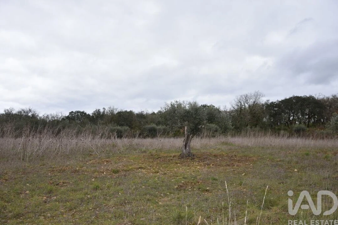 Terreno para Venda em Chãos Foto 22