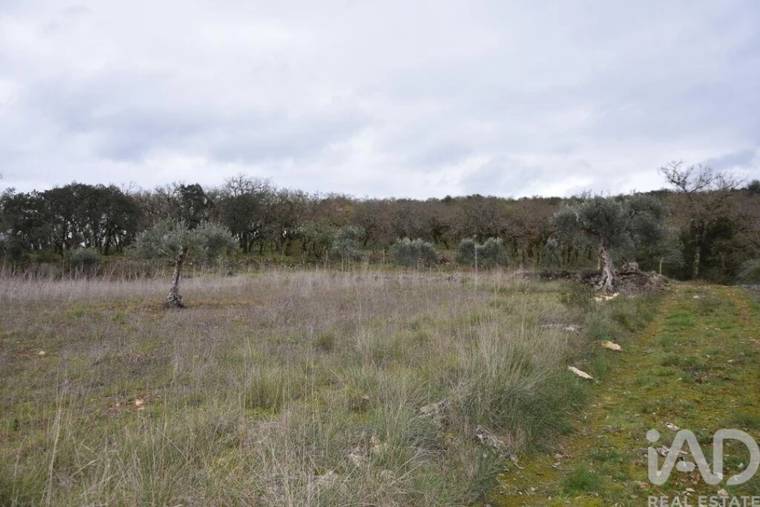Terreno para Venda em Chãos Foto 21