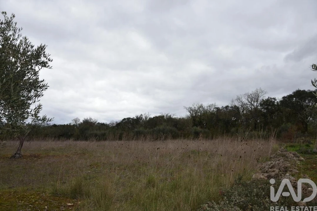 Terreno para Venda em Chãos Foto 17