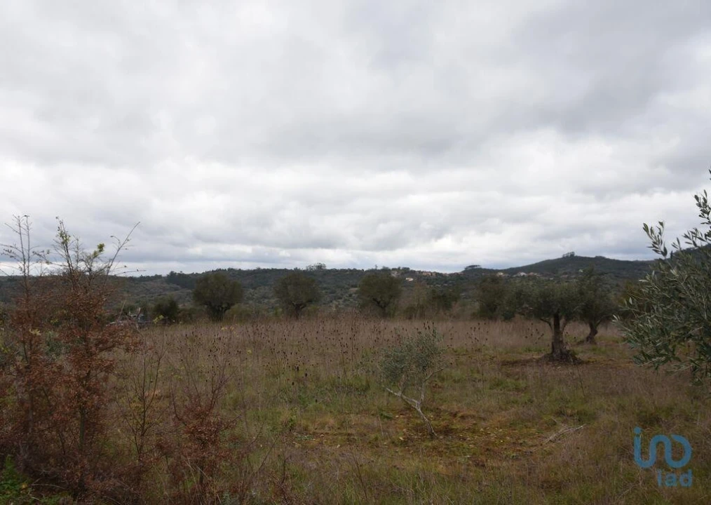 Terreno para Venda em Chãos Foto 14