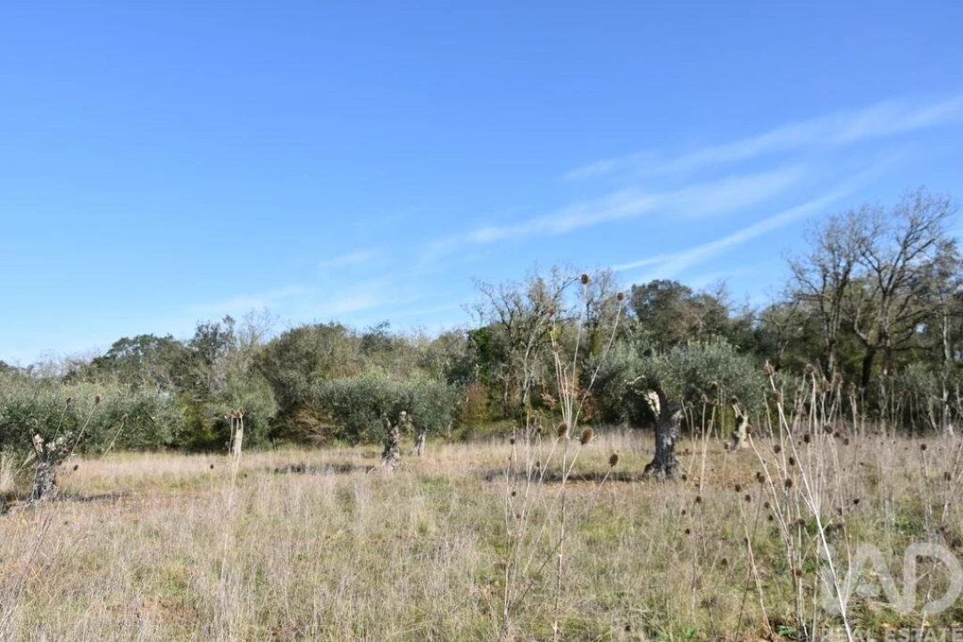 Terreno para Venda em Chãos Foto 25