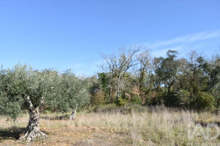 Terreno para Venda em Chãos Foto 28