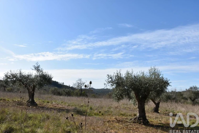 Terreno para Venda em Chãos Foto 30
