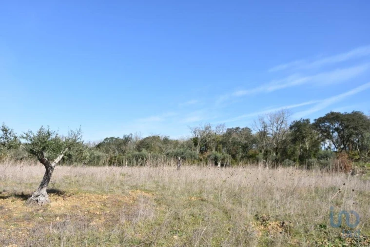 Terreno para Venda em Chãos Foto 7
