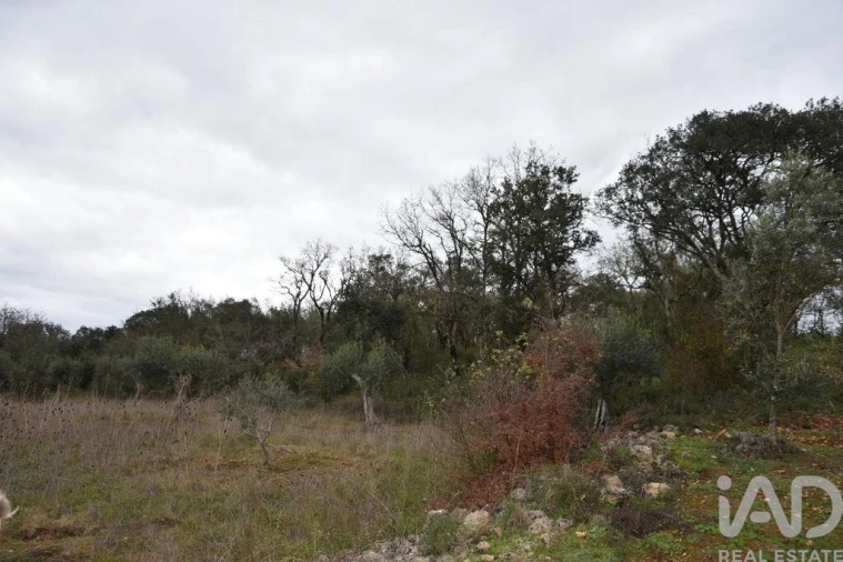 Terreno para Venda em Chãos Foto 16