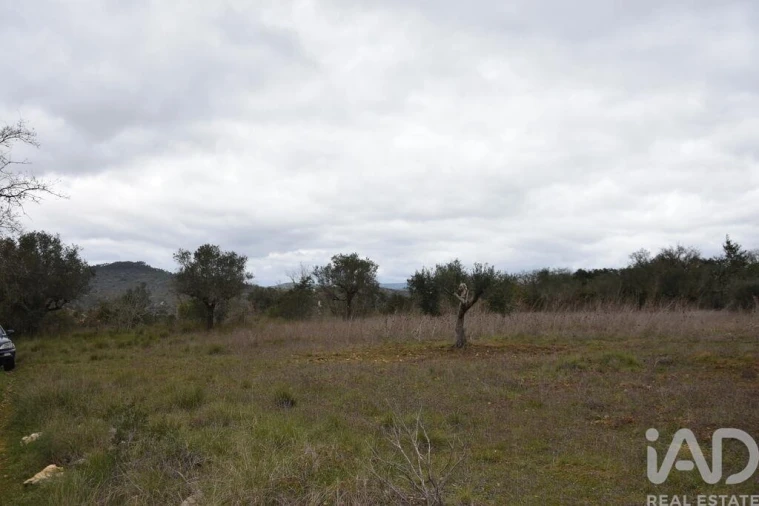 Terreno para Venda em Chãos Foto 20