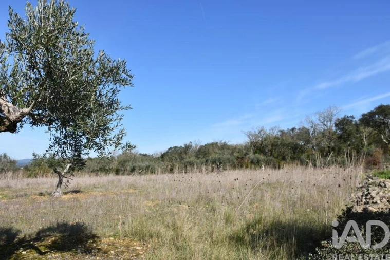 Terreno para Venda em Chãos Foto 23