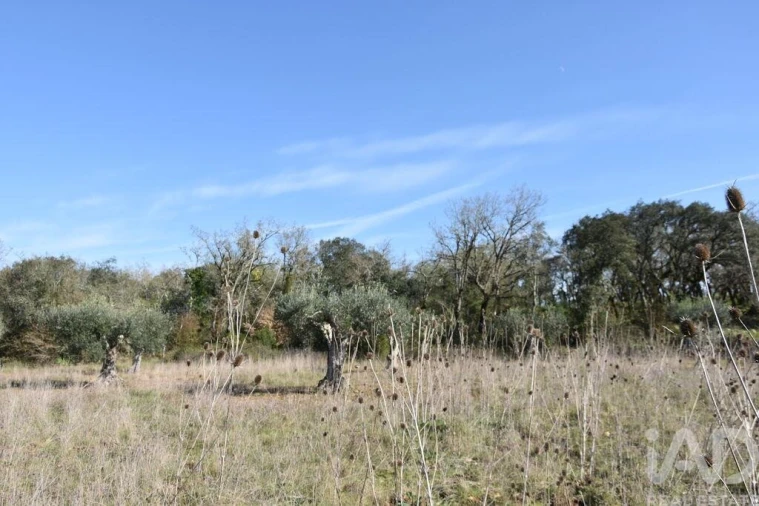 Terreno para Venda em Chãos Foto 26