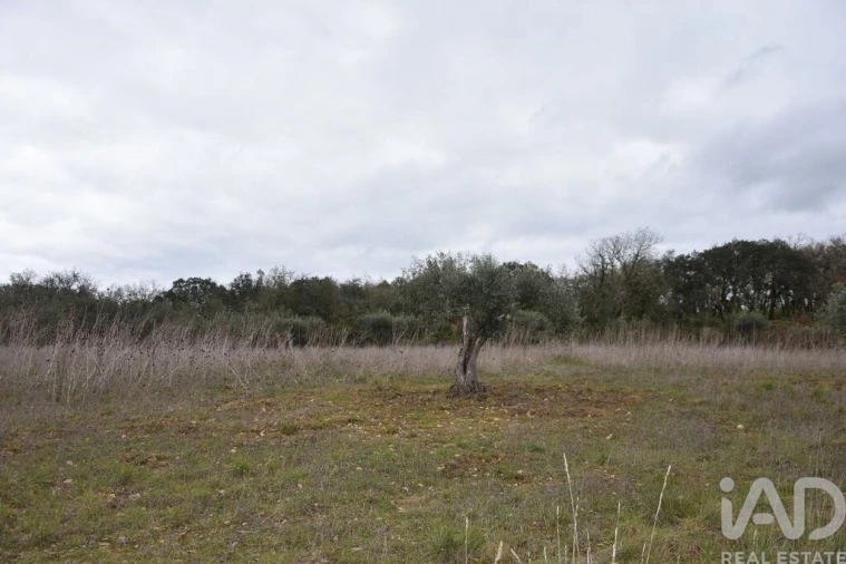 Terreno para Venda em Chãos Foto 22