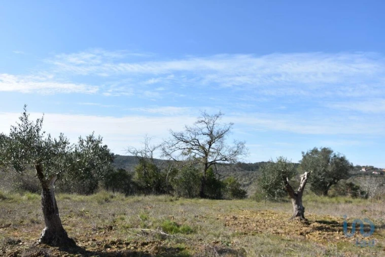 Terreno para Venda em Chãos Foto 5