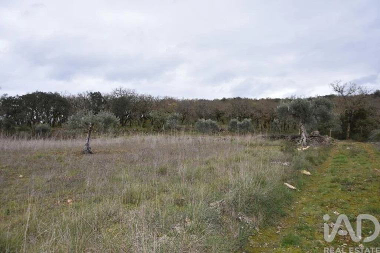 Terreno para Venda em Chãos Foto 21