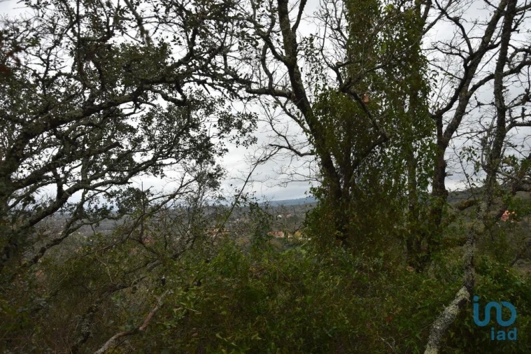 Terreno para Venda em Chãos Foto 11