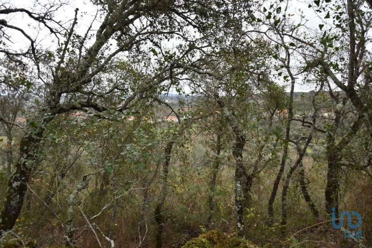 Terreno para Venda em Chãos Foto 8