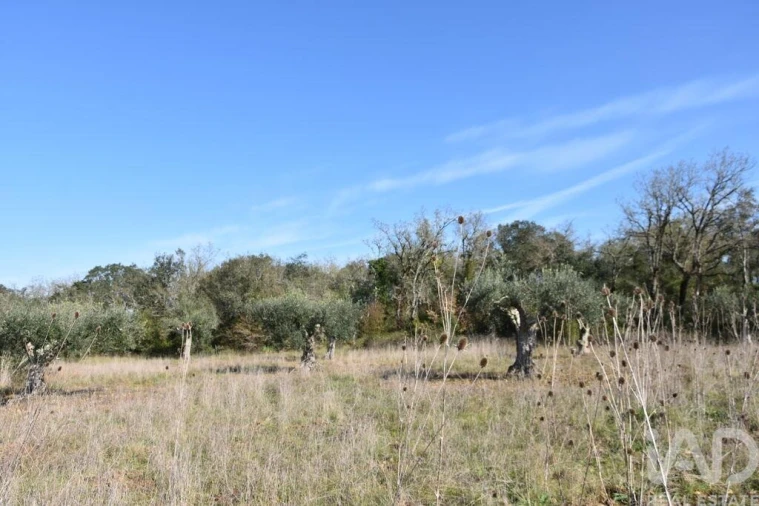 Terreno para Venda em Chãos Foto 25