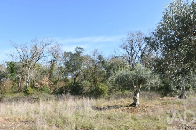 Terreno para Venda em Chãos Foto 27