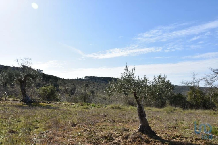 Terreno para Venda em Chãos Foto 6
