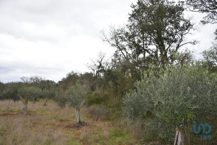 Terreno para Venda em Chãos Foto 15