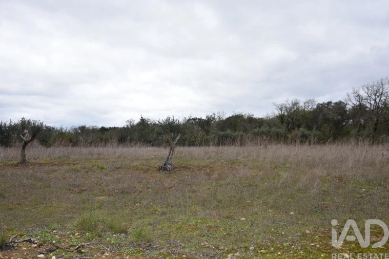 Terreno para Venda em Chãos Foto 18