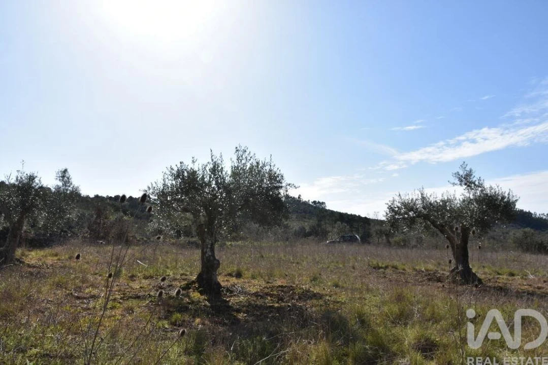 Terreno para Venda em Chãos Foto 29