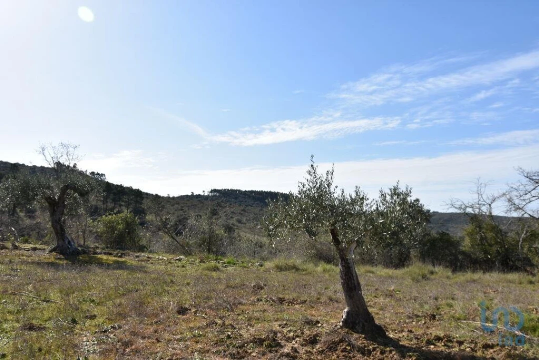 Terreno para Venda em Chãos Foto 6