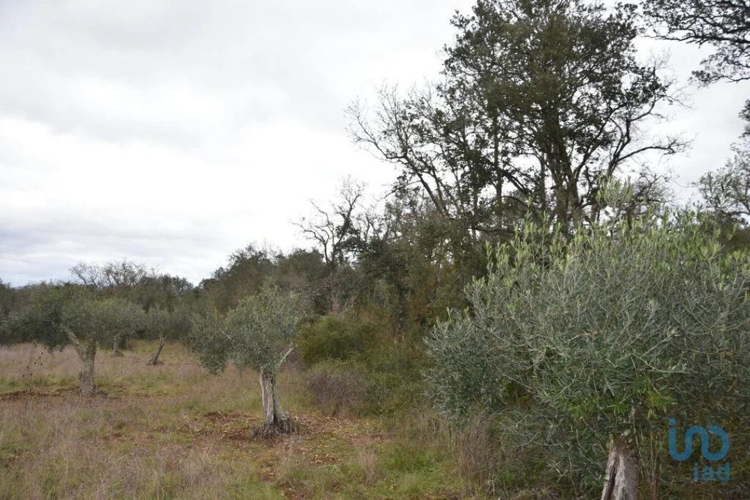 Terreno para Venda em Chãos Foto 15