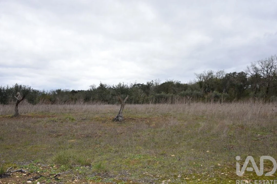 Terreno para Venda em Chãos Foto 18