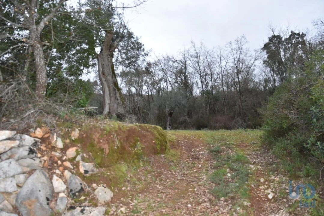 Terreno para Venda em Chãos Foto 14