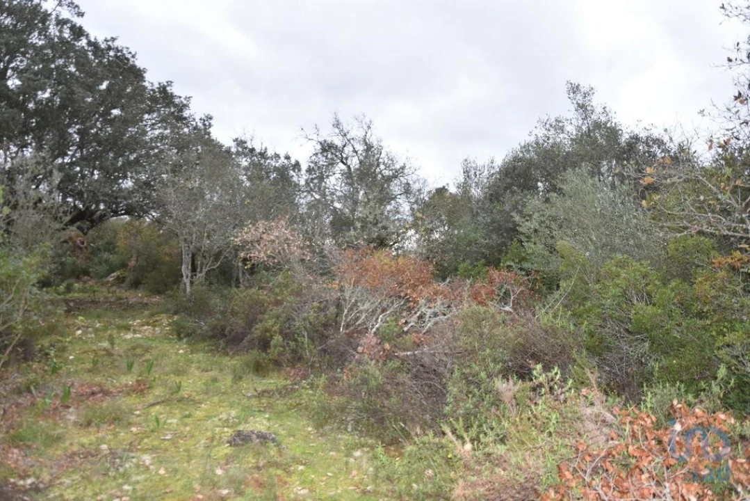 Terreno para Venda em Chãos Foto 3