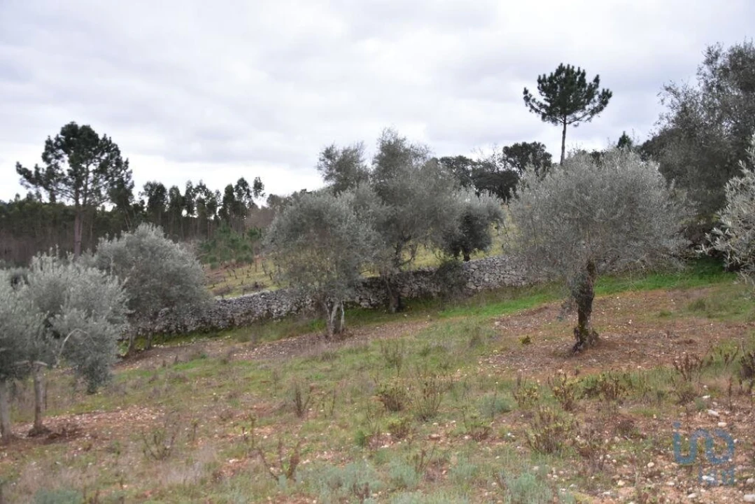 Terreno para Venda em Chãos Foto 7